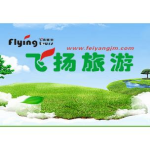 飞扬国际旅行社招聘logo