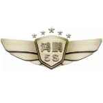 广西鸿鹏汽车销售服务有限公司招聘logo