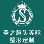 东莞市圣之慧医疗投资管理有限公司logo