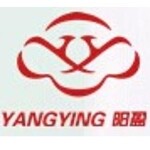 东莞市阳盈电子有限公司logo
