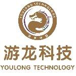 广东游龙计算机科技有限公司