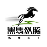 深圳黑马纵腾网络科技有限公司招聘logo