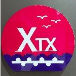 新天下xtx招聘logo