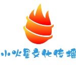 广州市天河区员村小火星文化传播工作室logo