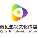 辽宁奇见影视文化传媒有限公司logo