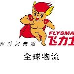 深圳市飞力士全球物流有限公司logo