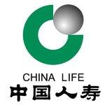 中国人寿保险股份有限公司东莞分公司西平营销部