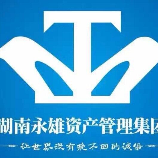 湖南永雄资产管理集团有限公司湘潭分公司logo