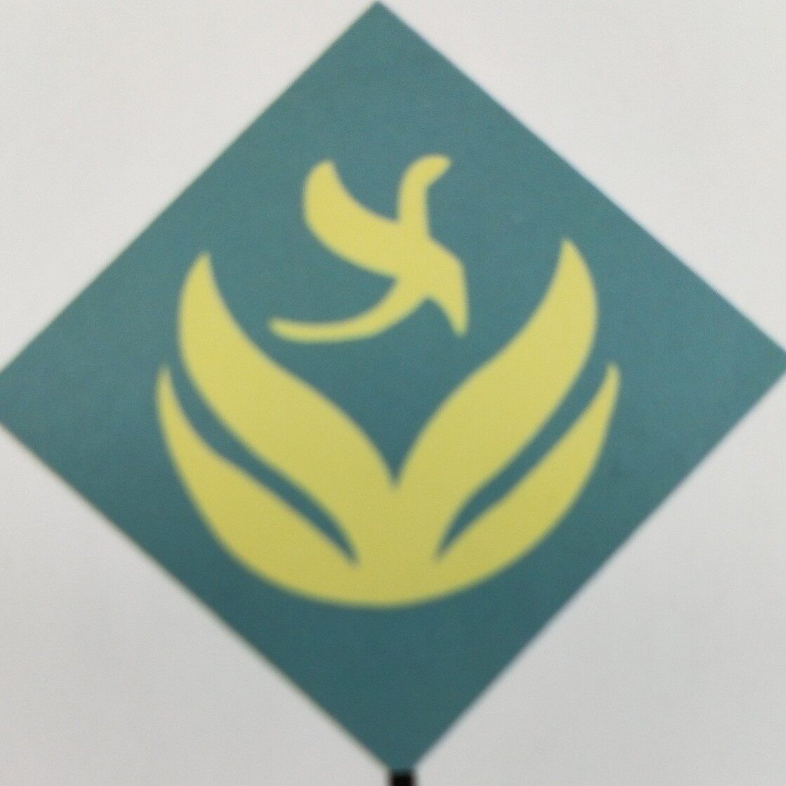江苏远方招聘logo