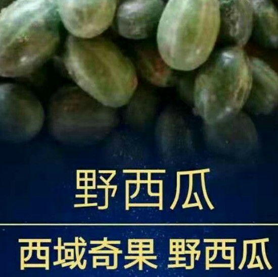 长春野西瓜药业有限公司招聘logo