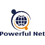 东莞市网强信息科技有限公司招聘logo