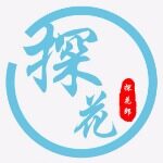 南昌探花科技有限公司logo
