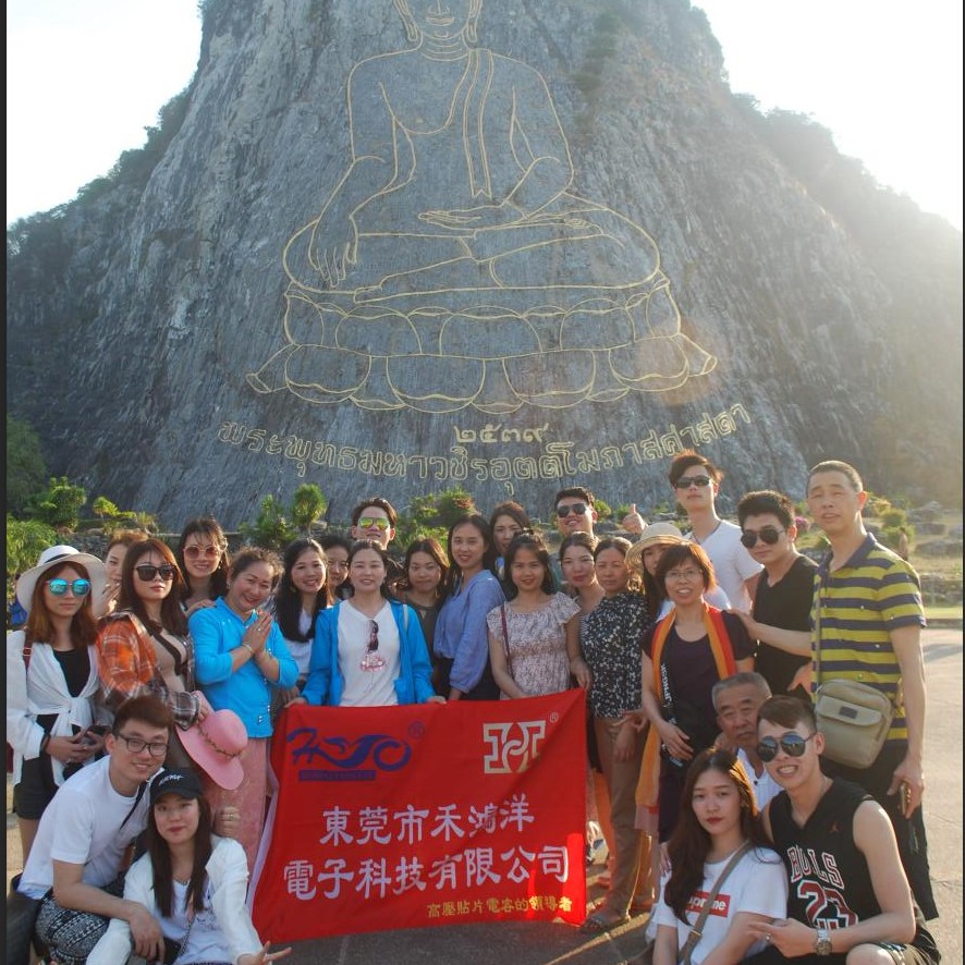 东莞市禾鸿洋电子科技有限公司