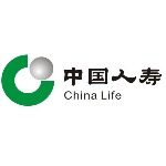 中国人寿分部招聘logo