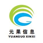 湖南元果信息技术有限责任公司logo