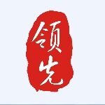 广西领先房地产有限公司logo