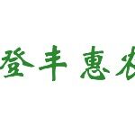 登丰惠农招聘logo