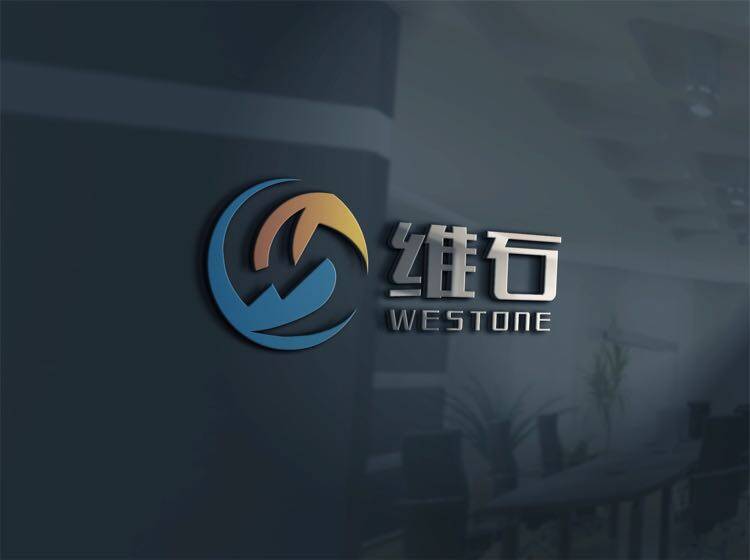 维石数据科技（东莞）有限公司logo