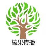 深圳市榛果文化传播有限公司logo