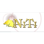 Northfolk Information and Technologies INC招聘logo