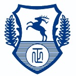 日正国际货运代理logo