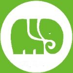 大象会计招聘logo