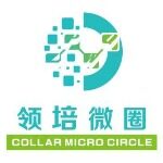 广东领培微圈信息技术有限公司