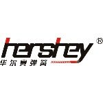广东华尔赛弹簧实业有限公司logo