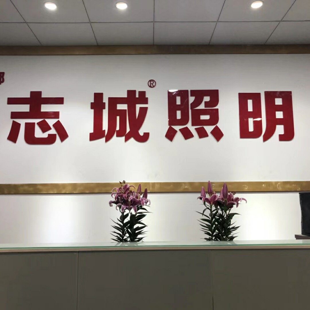 江门市志城照明有限公司logo