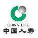 番禺中国人寿logo
