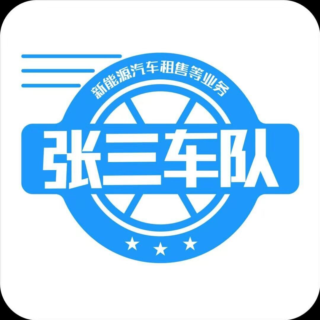 张三新能源汽车招聘logo