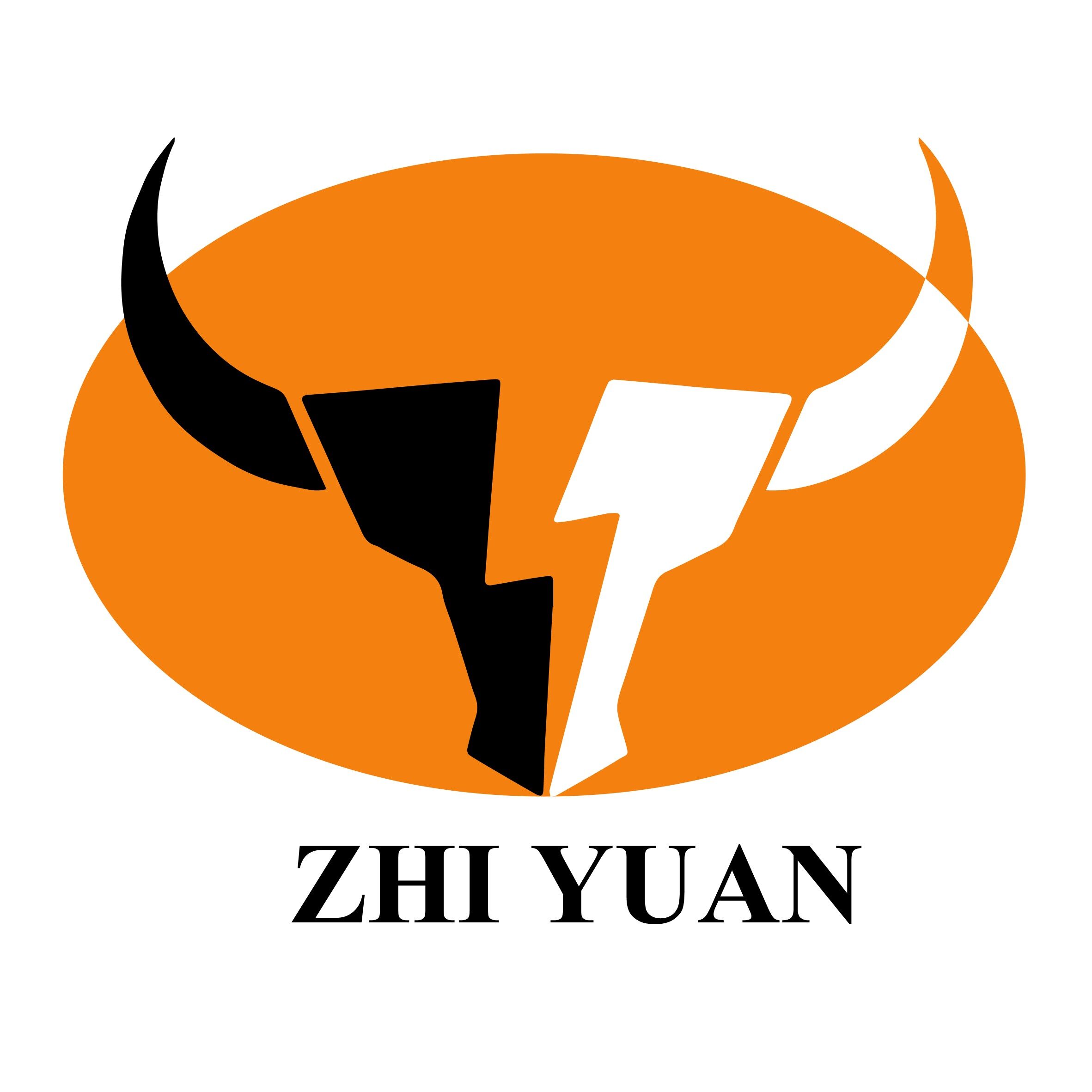 天津致远智行教育咨询有限公司logo