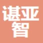 上海谌亚智能化系统有限公司logo