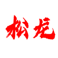 重庆松龙机动车驾驶培训有限公司logo