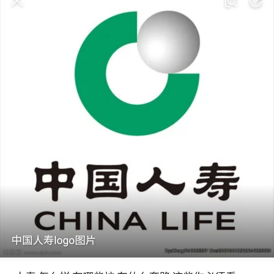 中国人寿保险股份有限公司南宁市新城支公司logo