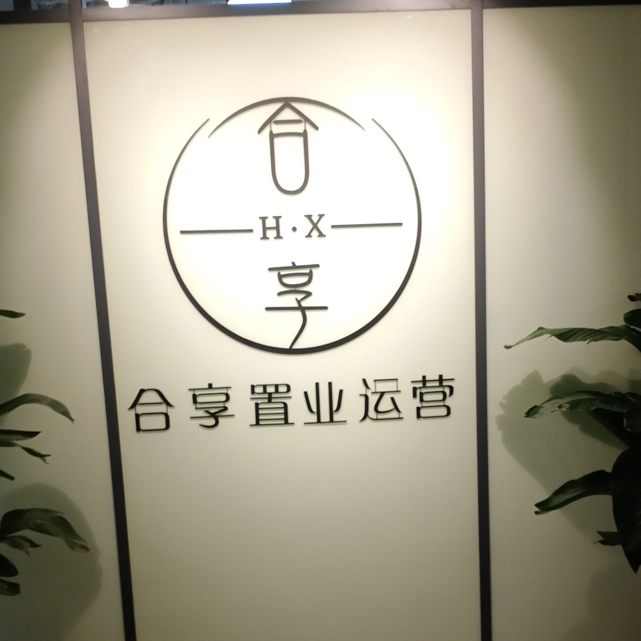 东莞市合享信息咨询有限公司logo