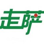 新疆走萨网络科技有限公司logo