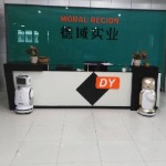 东莞市德域实业有限公司