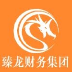 武汉臻龙财务管理有限公司logo