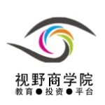 中山市视野企业管理咨询有限公司logo