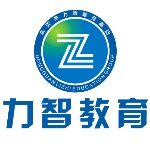 东莞市力智实业发展有限公司logo