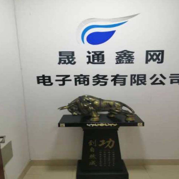 泰安市晟通鑫网电子商务有限公司logo