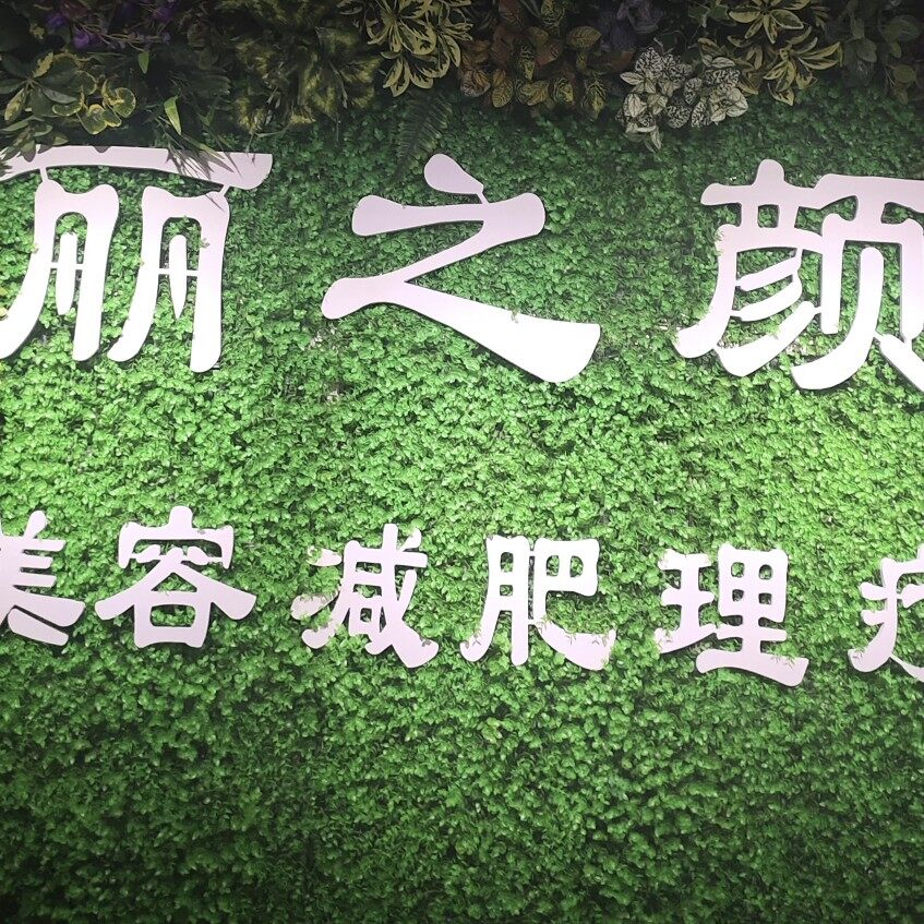 锦州市松山新区丽之颜减肥美容养生馆logo