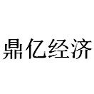 杭州鼎亿经济信息咨询有限公司logo