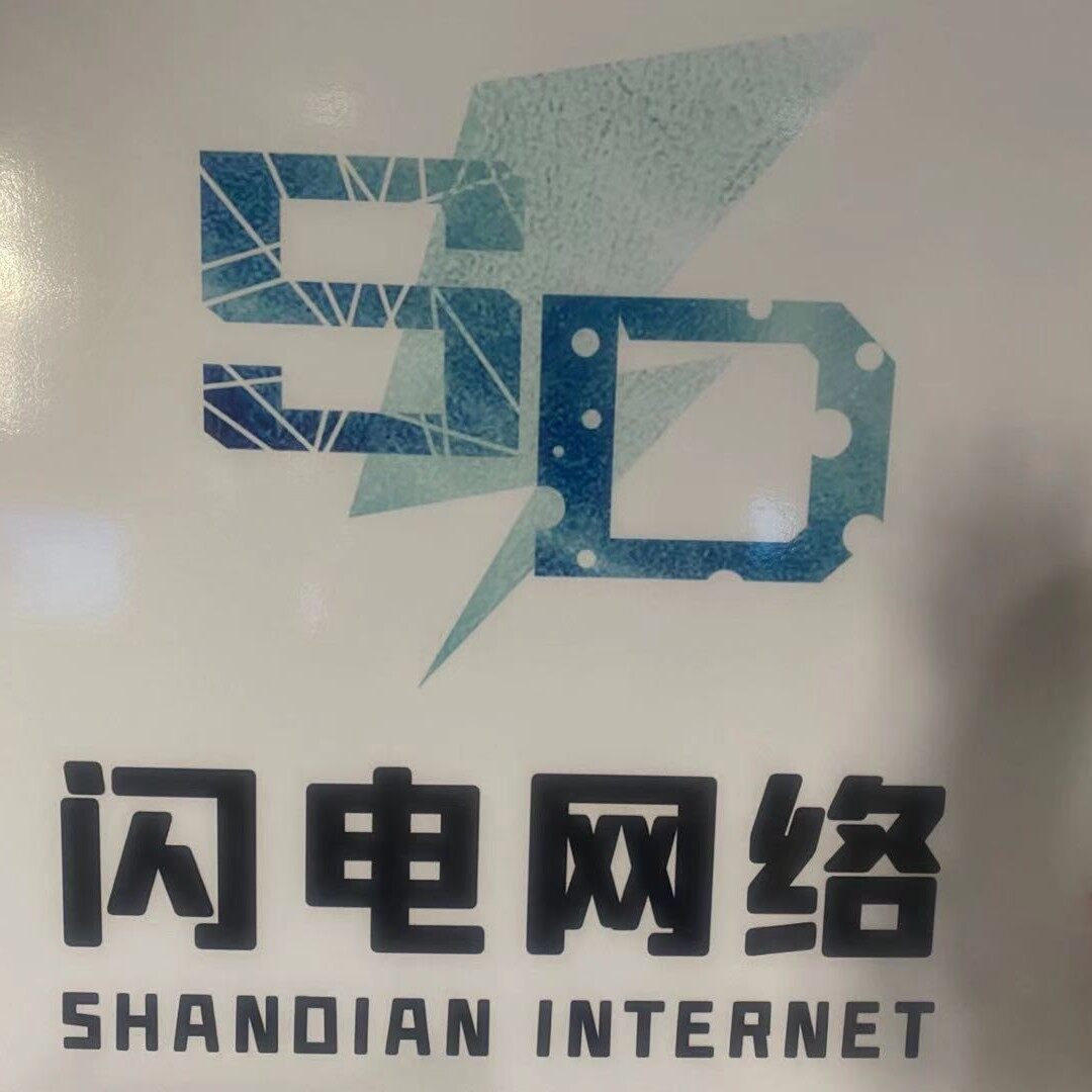 湖南闪电网络科技有限公司logo