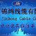 锦鸿线缆logo