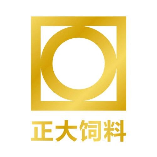 长沙正大有限公司logo