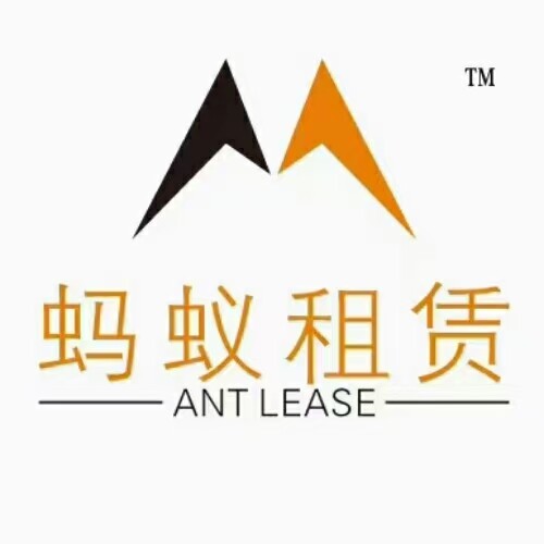 东莞市蚂蚁汽车信息咨询公司logo
