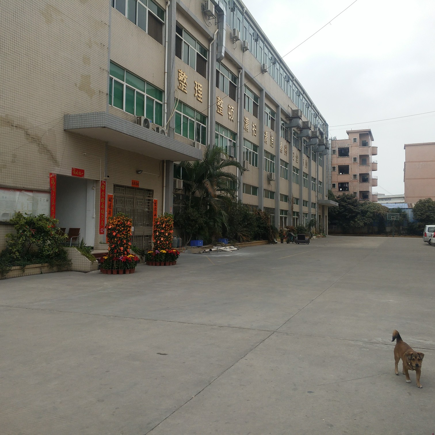 东莞市众鑫凯电子科技有限公司