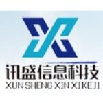 安徽讯盛信息科技有限公司logo